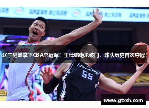 辽宁男篮拿下CBA总冠军！王仕鹏绝杀破门，球队历史首次夺冠！